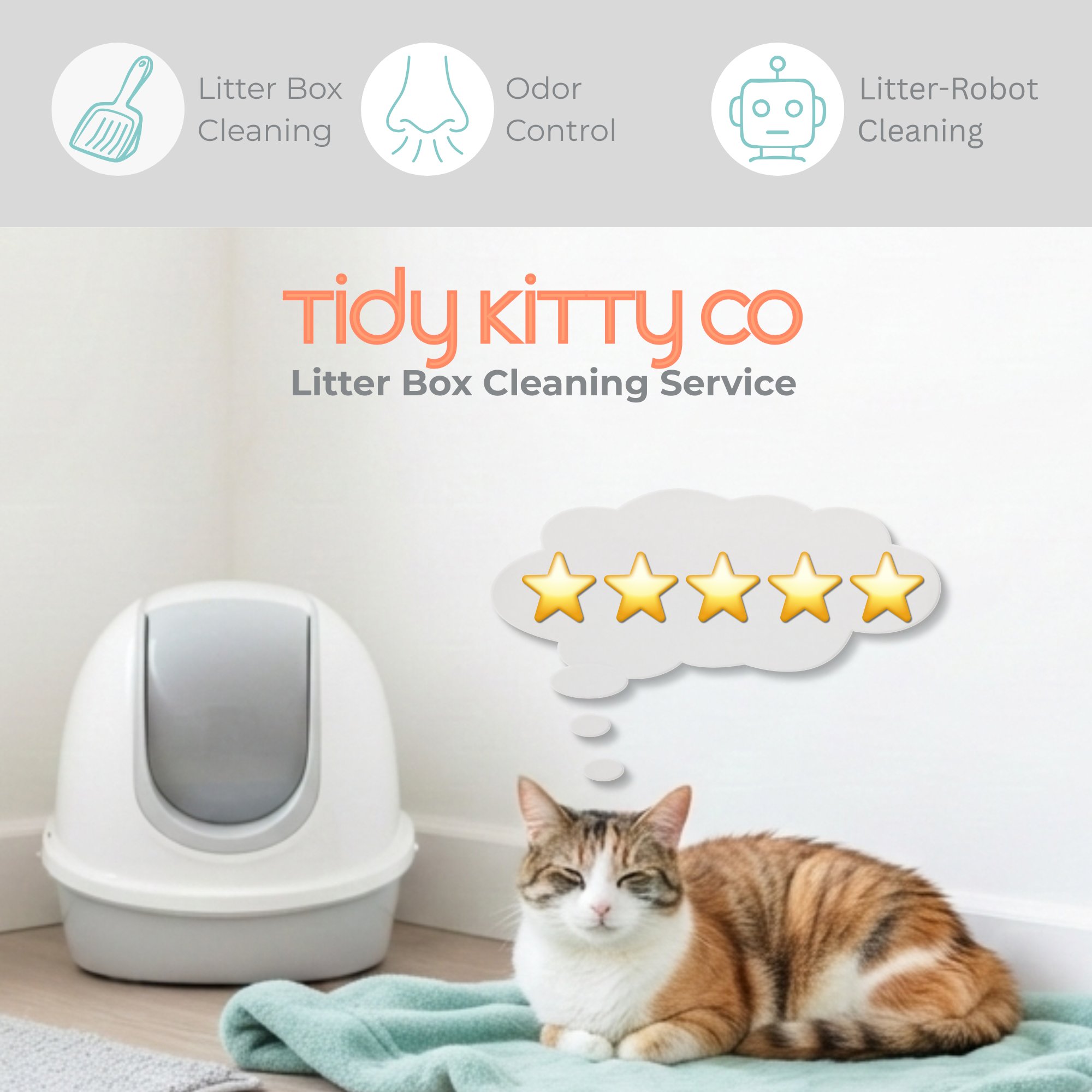 Happy cat dreaming of 5-star service from Tidy Kitty Co.